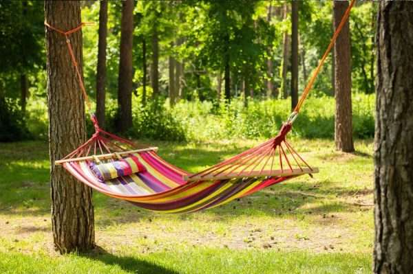 Beautiful And Lovely Hammock
