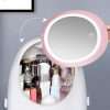 Cosmetic Storage Box With Attached Mirror And Adjustable LED Lights