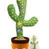 Dancing Cactus Toy