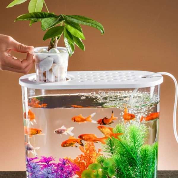 13 Litre Transparent Fish Tank