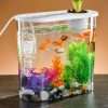 13 Litre Transparent Fish Tank