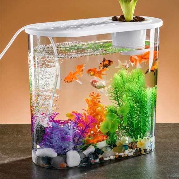 13 Litre Transparent Fish Tank