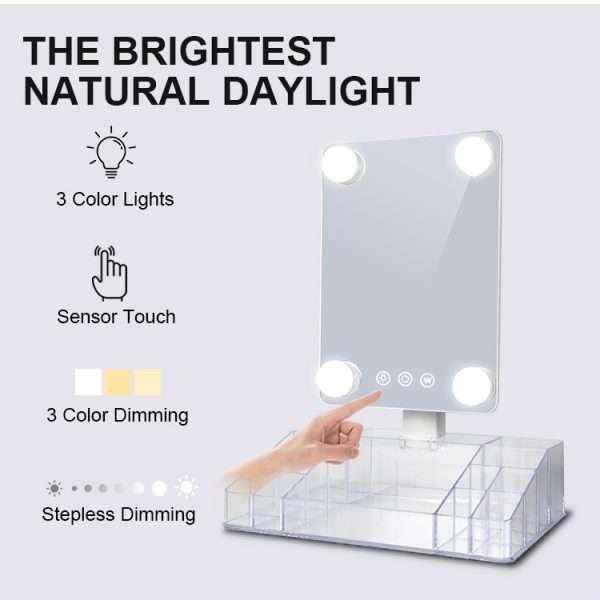 Vanity Style Mirror With Light & Storage