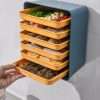 6-in-1 Wall Mounted Multilayer Dish Tray
