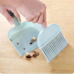 Brush And Dust Pan Set