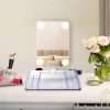 Vanity Style Mirror With Light & Storage