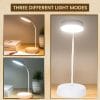 Desk Lamp