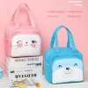 Cute Lunch Bag