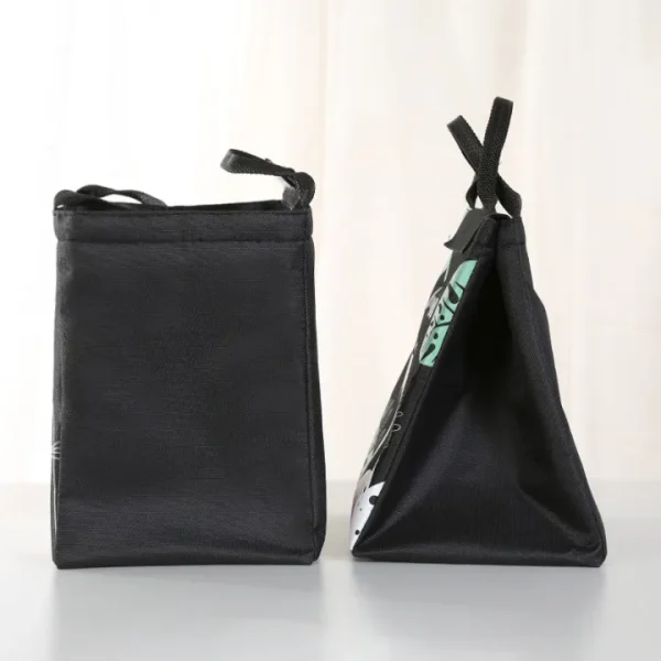 Stylish for kids lunch bag