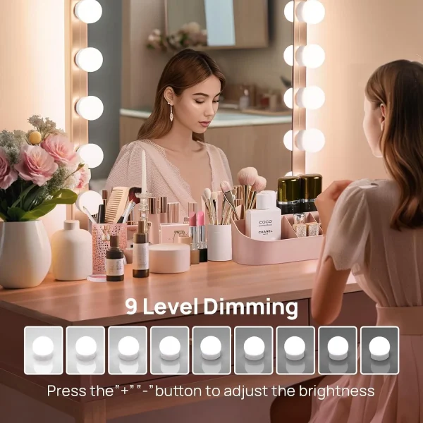 Vanity Mirrror Light Dimming Control
